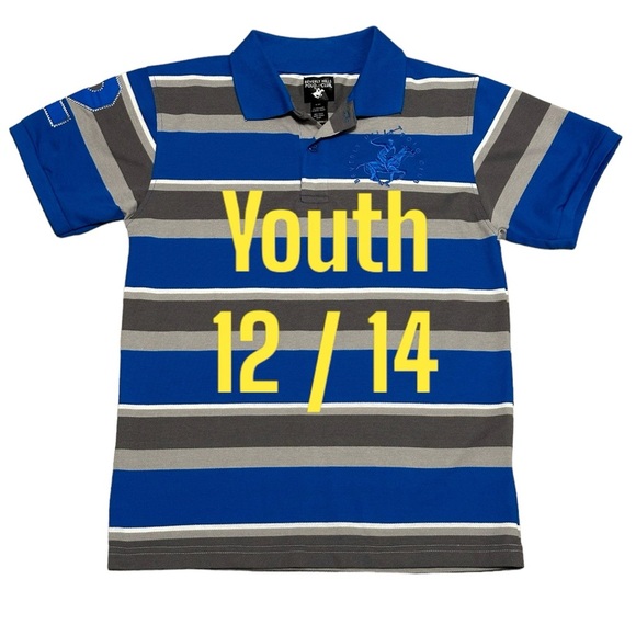 Boys Beverly Hills Polo Club Large 12 - 14 Youth Top Tee Stripes Blue Gray NWOT - Picture 3 of 6